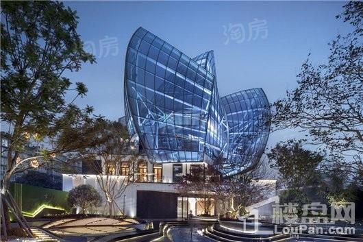 新希望D10天府实景图