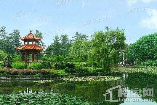 新希望D10天府配套图