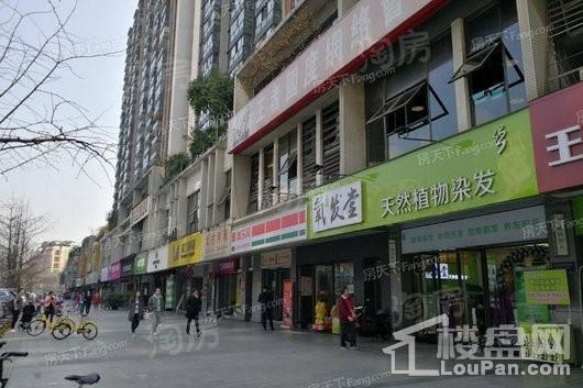 新希望D10天府配套图