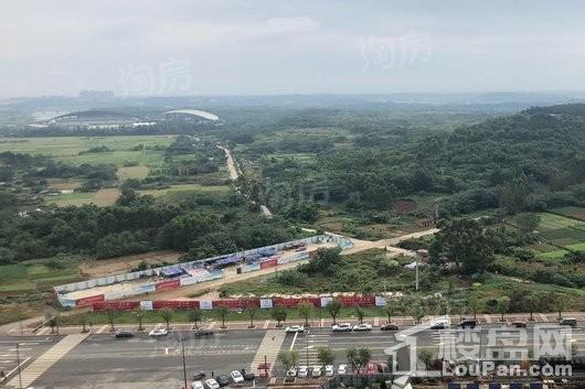 实景图