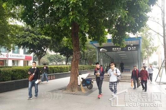 桐梓林7号配套图