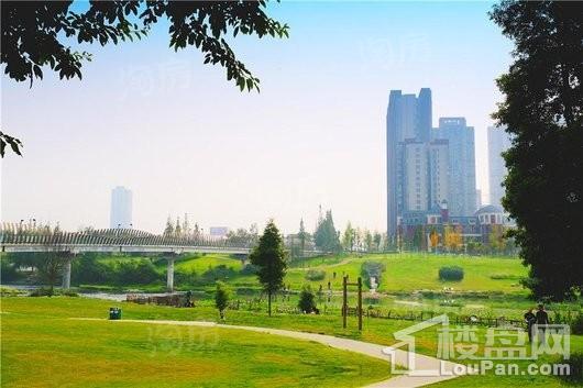 奥园玖俪湾配套图