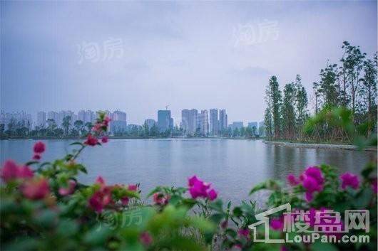 万科璟南堂配套图