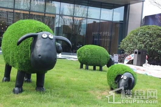 新力琥珀园实景图