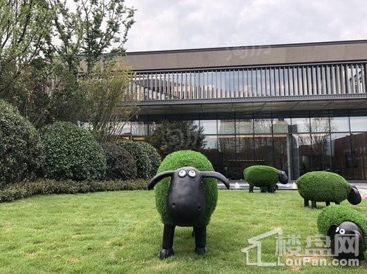 新力琥珀园实景图