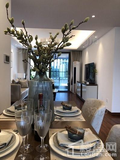 新力琥珀园样板间