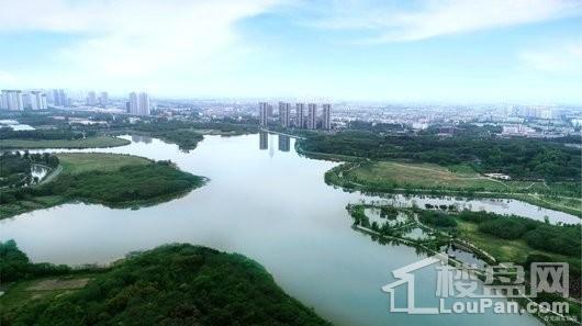 中海御湖世家实景图