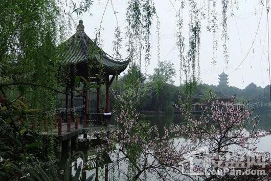 金科集美学府配套图