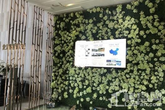 西派泊玥实景图