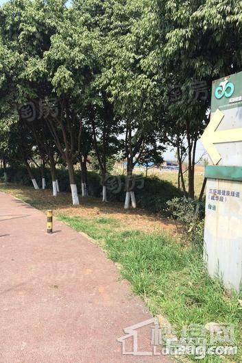 西派泊玥配套图