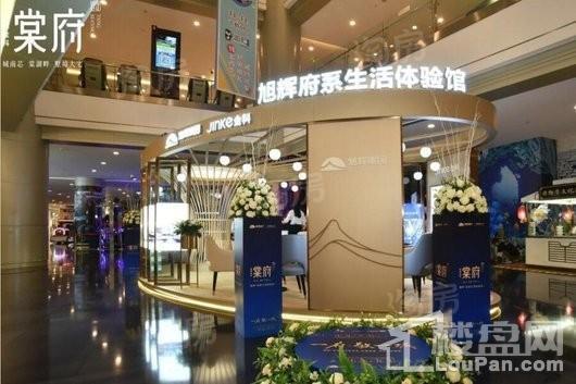 旭辉金科棠府实景图