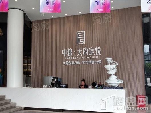 中粮天府宸悦实景图