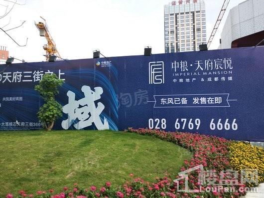 中粮天府宸悦实景图