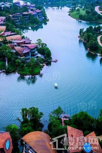 麓湖生态城实景图