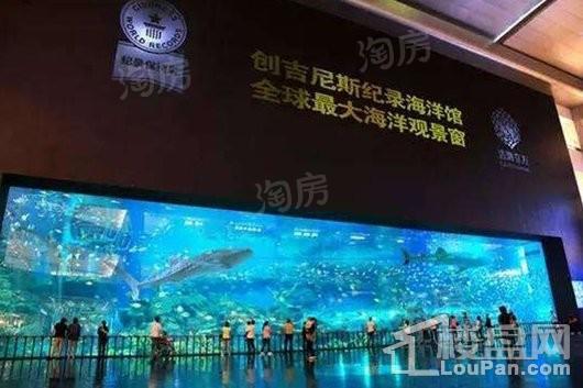金太阳江安湖1号配套图