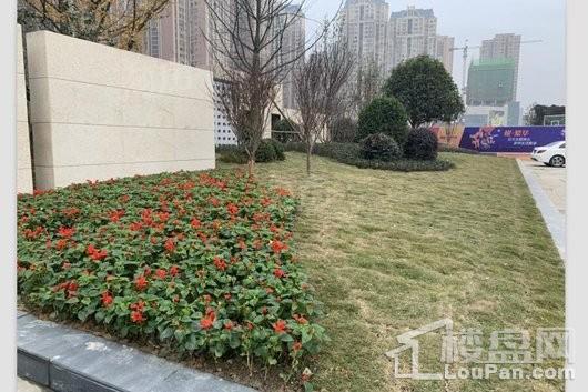 银诚龙悦中心实景图