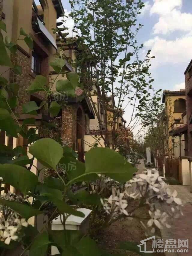 万润·北京运河湾实景图