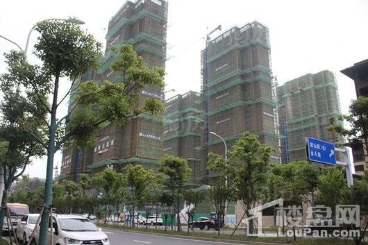 信达公园里实景图