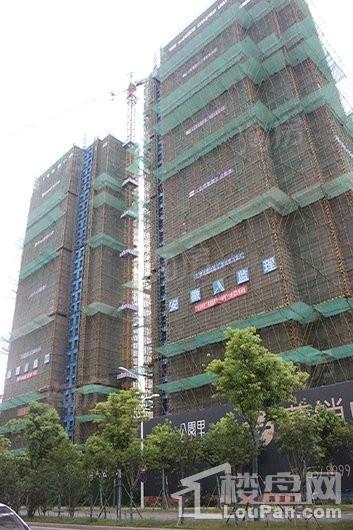 实景图