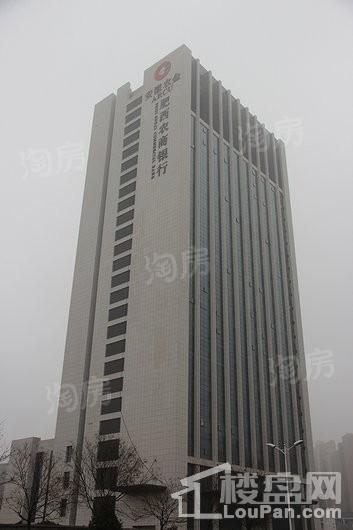 丽丰·铂羽公馆配套图