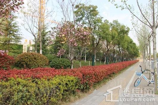 高铁都市花园配套图