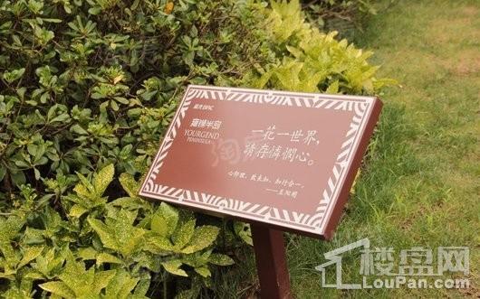 蓝光雍锦半岛实景图