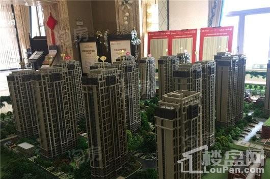 禹洲中央城实景图