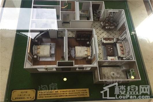 禹洲中央城实景图
