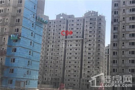 城发绿园实景图