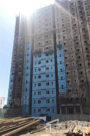 实景图