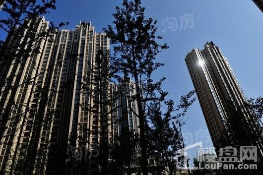 易大天地实景图