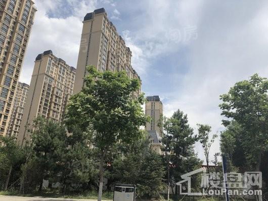 新华联雅园实景图