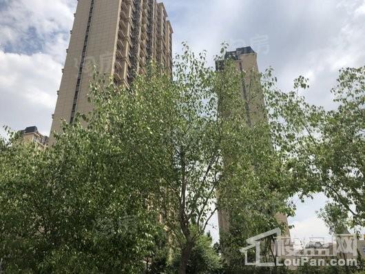 新华联雅园实景图