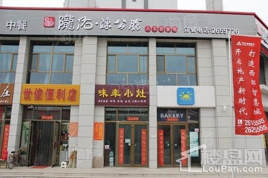 兰石·豪布斯卡配套图
