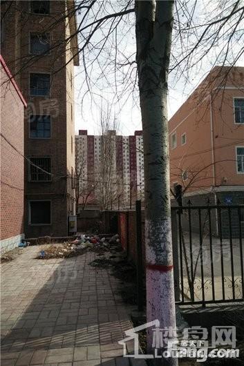 实景图