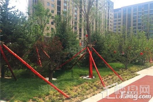 实景图