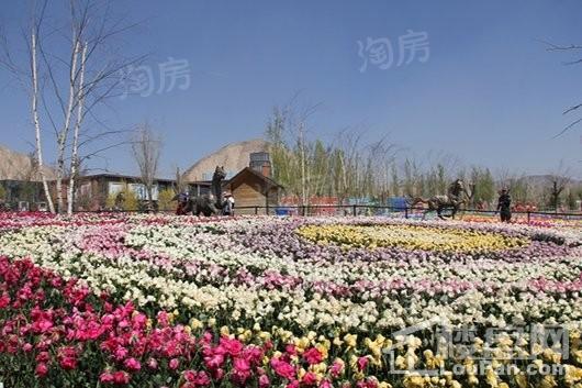 保利领秀山实景图