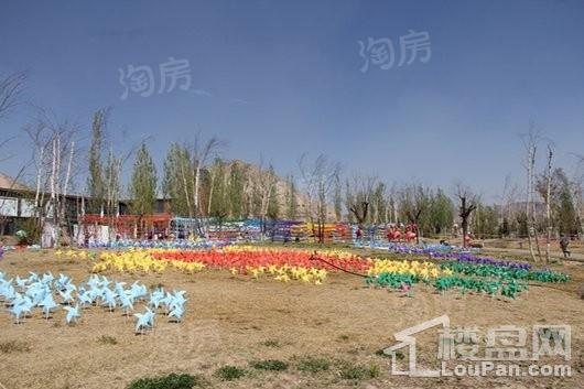 实景图