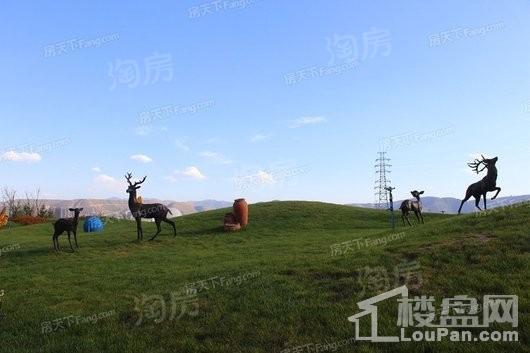 银河国际居住区实景图