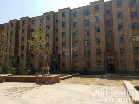 东方国际城实景图