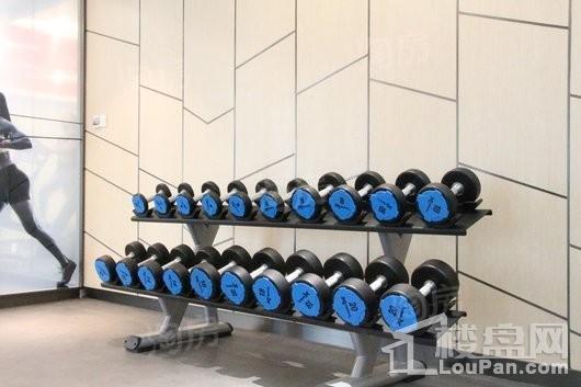 天庆·山河一品实景图