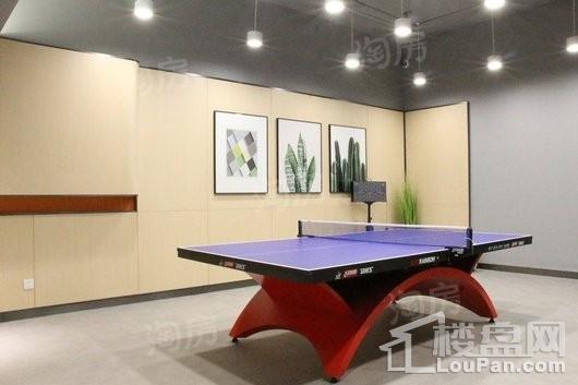 天庆·山河一品实景图