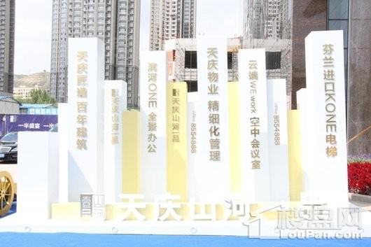 天庆·山河一品实景图