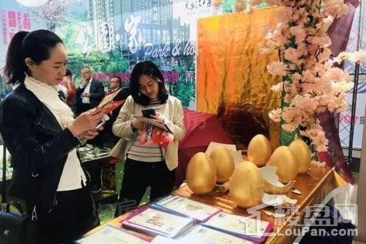 新西部·兰州印象实景图
