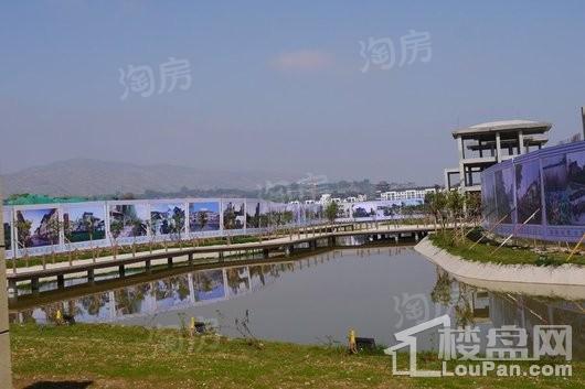 唐源香泉实景图