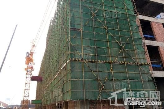 东粮大厦实景图