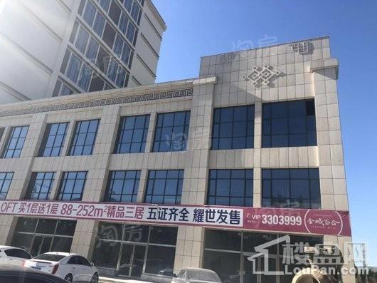 金城百合实景图