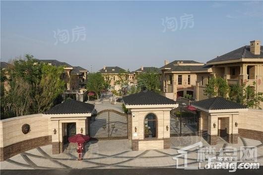 实景图