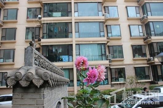怡景新苑二期实景图