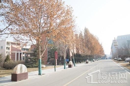 华润置地·誉澜山配套图